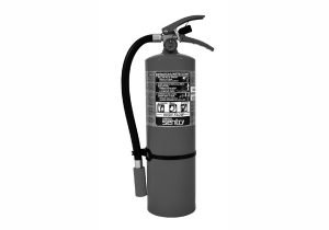 Ansul Sentry High-Flow 10 Portable Extinguisher