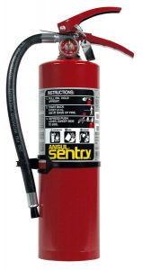 SENTRY AA05 5 lb. Fire Extinguisher