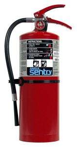 SENTRY C10 10 lb. Fire Extinguisher