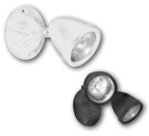 OCR Series Decorative Outdoor Remote Lighting Heads