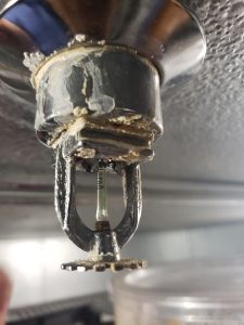 Dry Pendant Sprinkler Head Corrosion